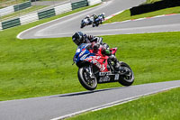 cadwell-no-limits-trackday;cadwell-park;cadwell-park-photographs;cadwell-trackday-photographs;enduro-digital-images;event-digital-images;eventdigitalimages;no-limits-trackdays;peter-wileman-photography;racing-digital-images;trackday-digital-images;trackday-photos